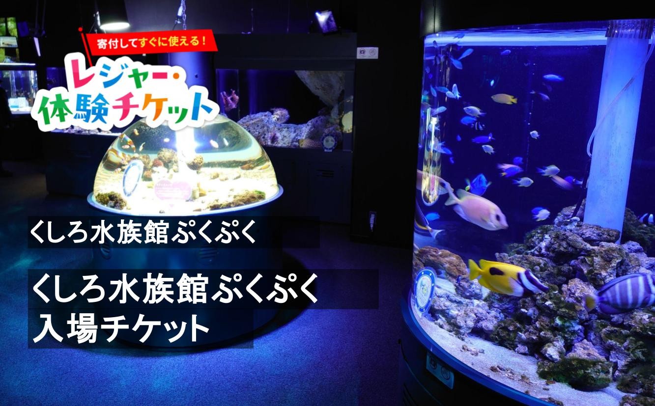 
                  【即時利用可/電子チケット】くしろ水族館ぷくぷく　入場チケット【会員限定のお礼の品】
                