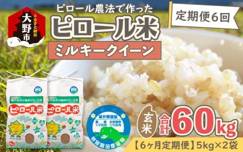 【令和6年産 新米】【6ヶ月定期便】弱アルカリ性のピロール米 ミルキークイーン 玄米 10kg（5kg×2袋）×6回　 化学肥料5割以下・減農薬