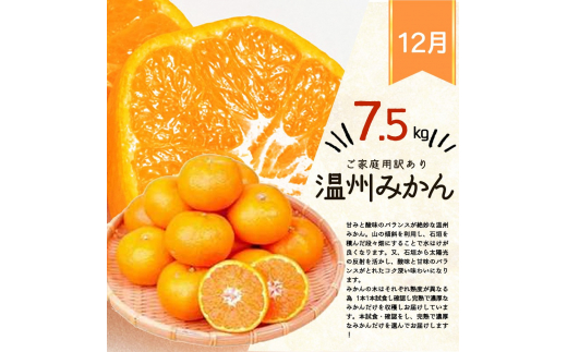 【全3回】紀州和歌山産旬のご家庭用果物定期便 (ひらたねなし柿・富有柿・みかん) / フルーツ くだもの 果物 定期便 3回定期便 和歌山 柿 カキ みかん 柑橘 ミカン 有田みかん【tkb379】