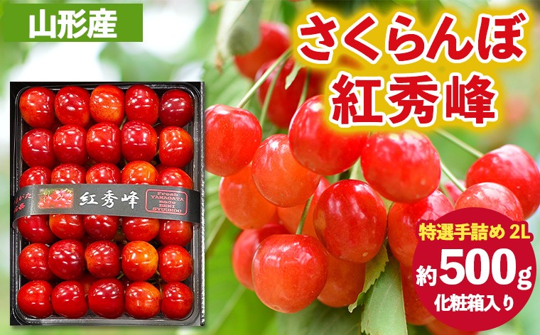 
            さくらんぼ 紅秀峰 ”特選手詰め” 2Lサイズ 化粧箱入り(約500g) 【令和8年産先行予約】FS25-057
          
