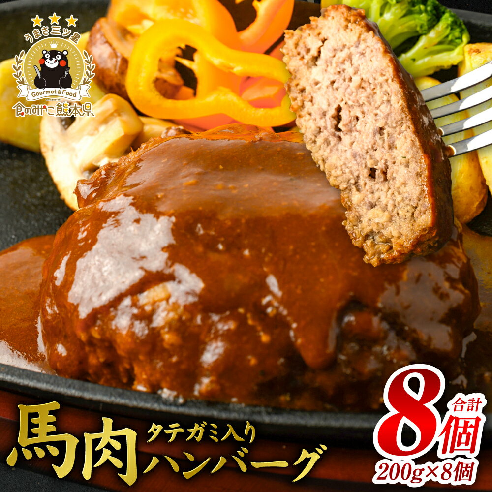 【ふるさと納税】タテガミ入り 馬肉ハンバーグ 8個セット 真空パック 合計約1.6kg 200g × 8個 デミグラスソース ハンバーグ 馬肉 惣菜 おかず 馬肉 タテガミ 冷凍 送料無料