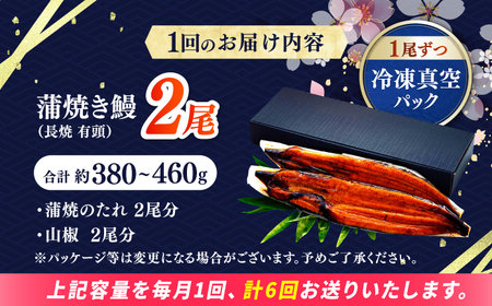 【6回定期便】 極上国産うなぎ四万十桜 蒲焼き2尾 たっぷり大サイズ / 国産 高知 四万十 うなぎ ウナギ 鰻 蒲焼き うな重 惣菜 贅沢 【有限会社もりた】[ATHE008]