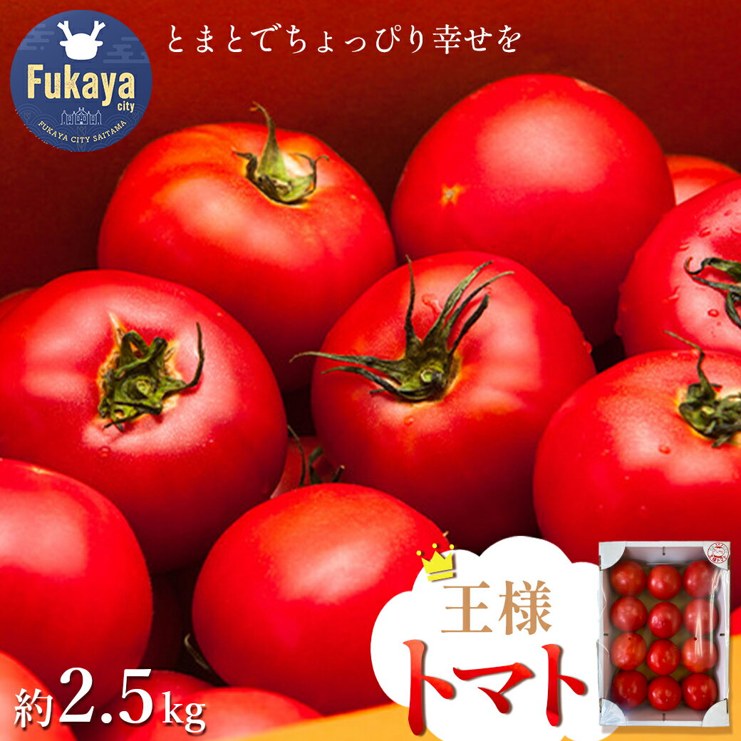 【ふるさと納税】王様トマト　約2.5kg　【11218-0713】