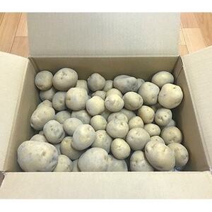 【発送月固定定期便】北海道産じゃがいも　北あかり約10kg(岸田農園産)全2回【4066962】