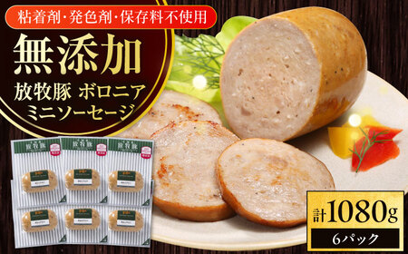 放牧豚 ボロニアミニソーセージ 計1，080g（180g×6） 豚肉 ソーセージ 無添加 北海道 [AXBA107]