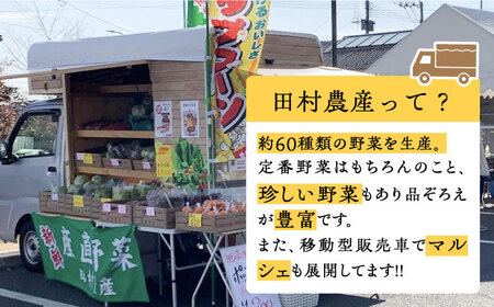 農家のおうちで旬の野菜！！収穫体験　１名 半日 ダンボール１箱お土産付き《豊前市》【田村農産】[VBE006] 野菜 野菜セット 旬の野菜 大量野菜 野菜 野菜セット 旬の野菜 大量野菜 野菜 野菜セ