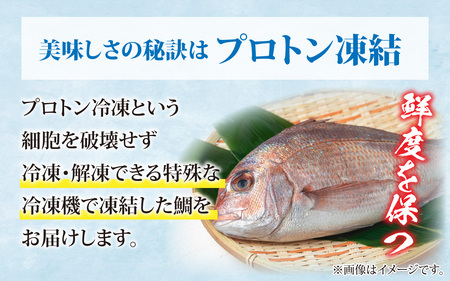 【数量限定】鯛しゃぶ食べ比べセット　約3人前（プロトン凍結）＋西京漬け１袋を一緒にお届け。