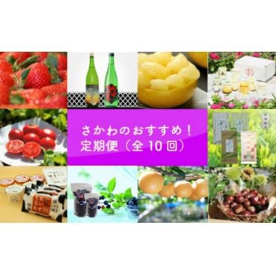 ふるさと納税 佐川町 佐川のおすすめ!定期便(全10回)