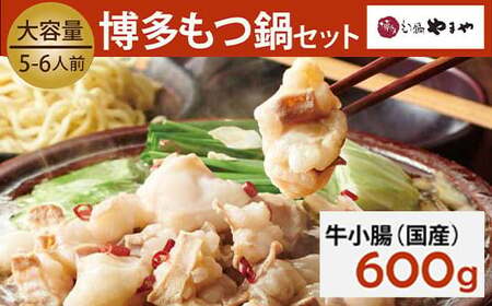 もつ鍋セット 牛もつたっぷり600g！大容量5-6人前(あごだし醤油味) 博多もつ鍋やまや  【2025年12月発送】