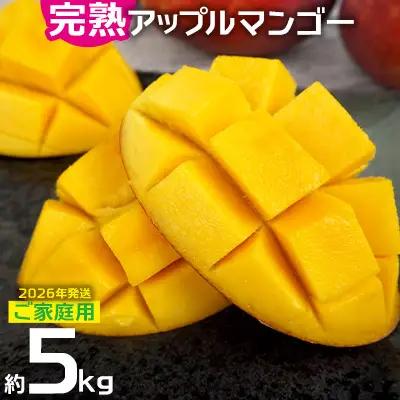 マンゴー【2026年発送】ご家庭用でも極上に美味しい完熟アップルマンゴー約5kg 農園直送！ 家庭用 