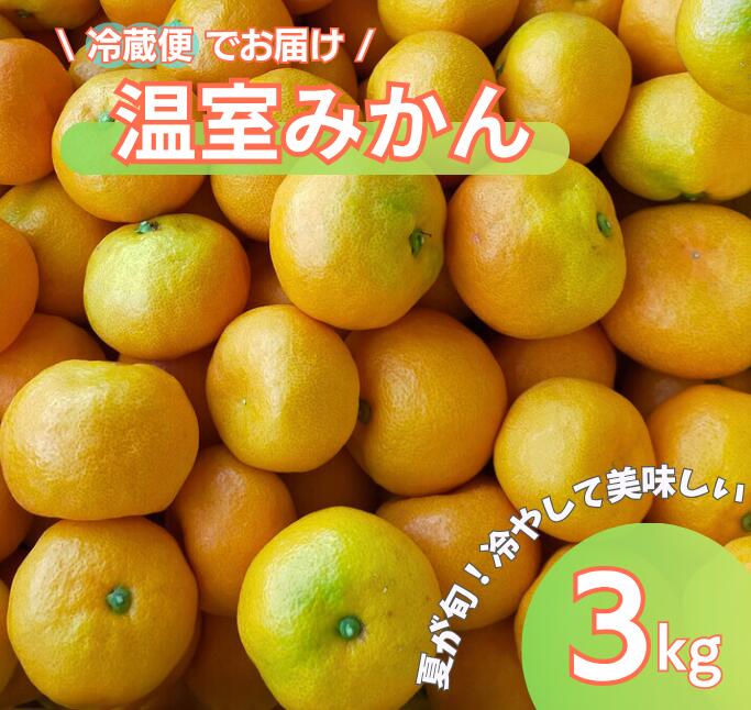 【ふるさと納税】みかん 愛媛 温室みかん 3kg 【2026年先行予約・2026年7月中旬から順次発送予定】 冷蔵便 池の久保 数量限定 柑橘 伊予市 | B434