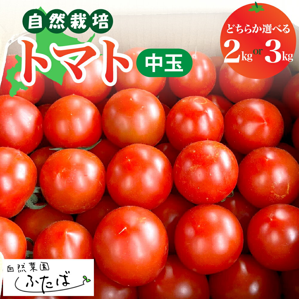 【ふるさと納税】【 先行受付 】宇佐美亮の トマト 中玉 選べる内容量（2kg／3kg）【2026年8月中旬から順次発送】/ とまと ミディ ミディトマト 野菜 サラダ 北海道産 お取り寄せ 産地直送 送料無料 北海道 十勝 芽室町