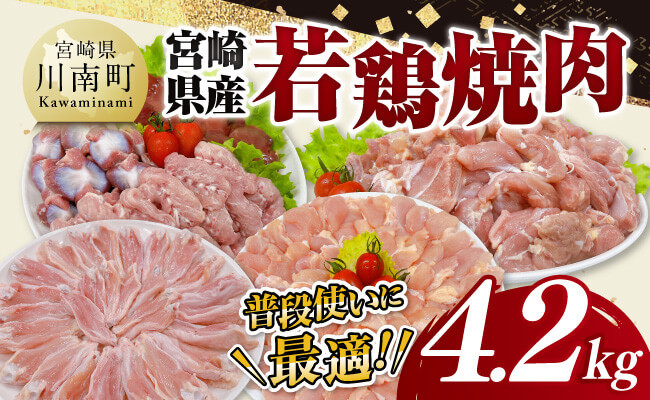 
                  宮崎県産 若鶏 焼肉 4.2kg 【 もも 砂肝 小肉 チキンリブ 肩肉 鶏肉 とり肉 真空パック 】
                
