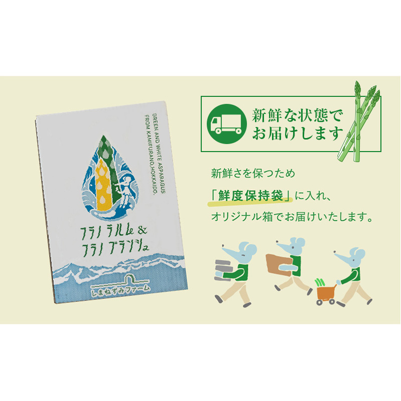 先行予約 【 2025年 発送 ！】 北海道 上富良野産 ホワイトアスパラガス 2L サイズ 500g アスパラ ホワイト アスパラガス 上富良野町 令和7年発送 野菜 やさい【オンライン決済限定】_
