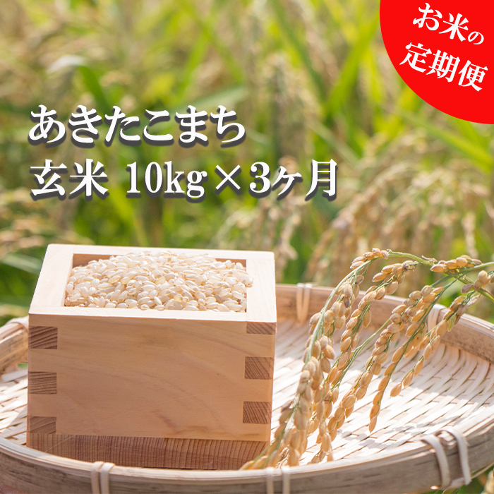 【令和7年産】 新米 11月上旬発送開始予定 あきたこまち 玄米 10kg 3ヶ月定期便 ／ かきのうえ こめ 米 コメ お米 おこめ ご飯 ごはん げんまい