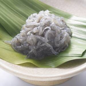 極冷生シラス　100g×6パック(簡易包装)_魚介・海産物 しらす・ちりめん  シラス チリメン_【配送不可地域：離島】【1044366】