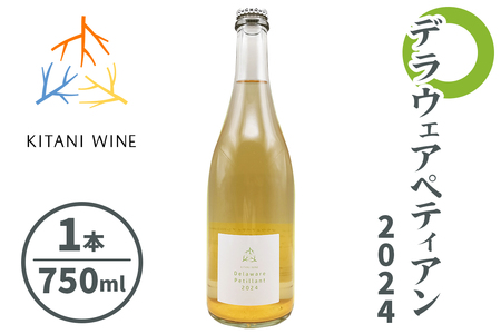 デラウェアペティアン 2024 (750ml×1本)｜ワイン 果実酒 奈良 香芝 [3004]