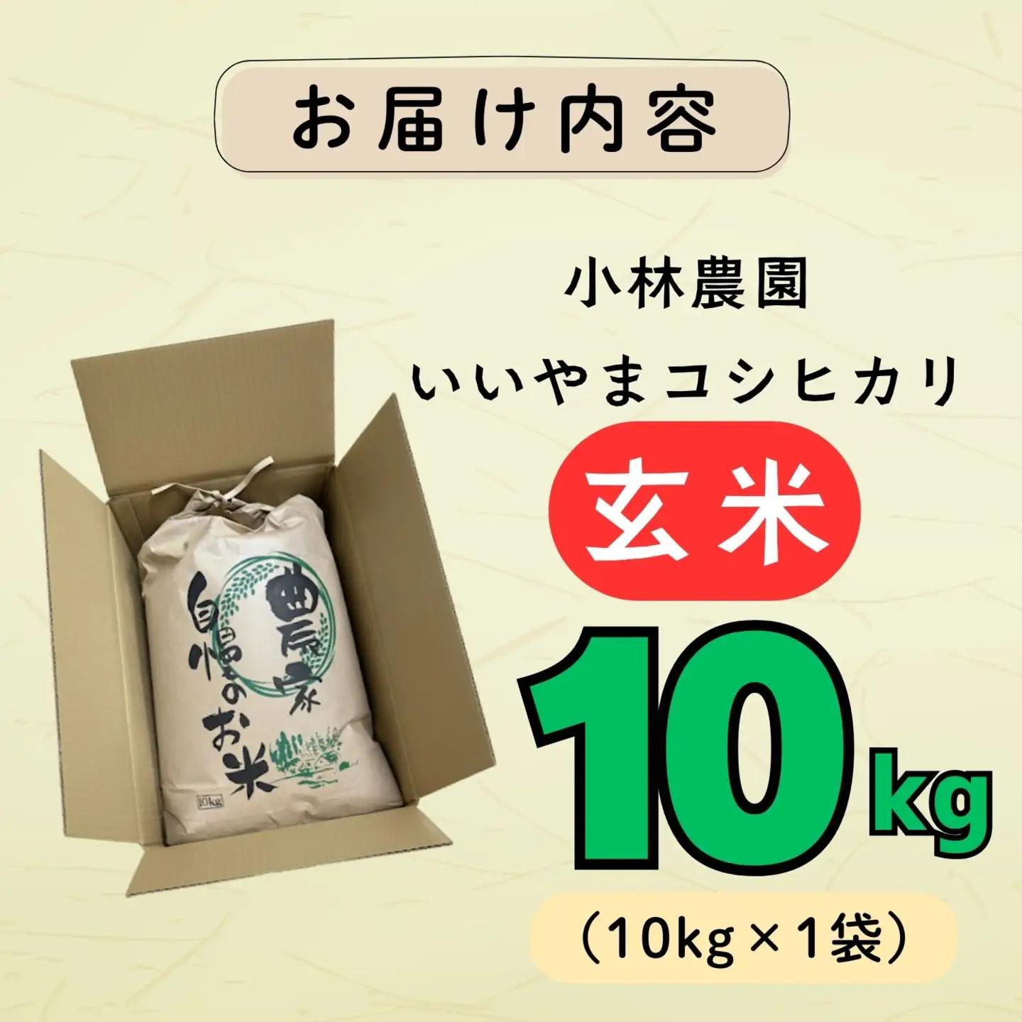 玄米 【10kg】 令和7年産 コシヒカリ 長野県産 【小林農園】7-87