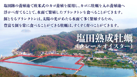 [今期分発送開始] 生食可 塩田熟成牡蠣 クレールオイスター プレミアムサイズ 12個 牡蠣 濃厚 熟成 養殖広島 大崎上島 瀬戸内 せとうち 離島 国産 かき カキ ギフト 送料無料 産地直送 ファ