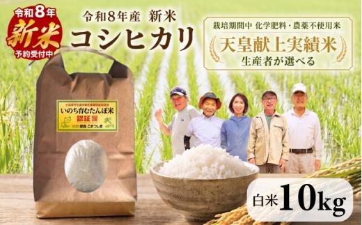 【2026年9月中旬より順次発送】令和8年産 新米 コシヒカリ 10kg 天皇献上米 (栽培期間中）化学肥料・農薬不使用米 白米 精米 こめ ご飯 備蓄米 ごはん 環境 に優しい 小松島 上王子特質米 10kg