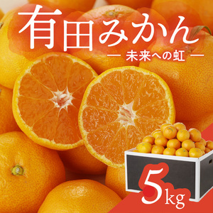 有田みかん「未来への虹」（5kg）(B973-2)