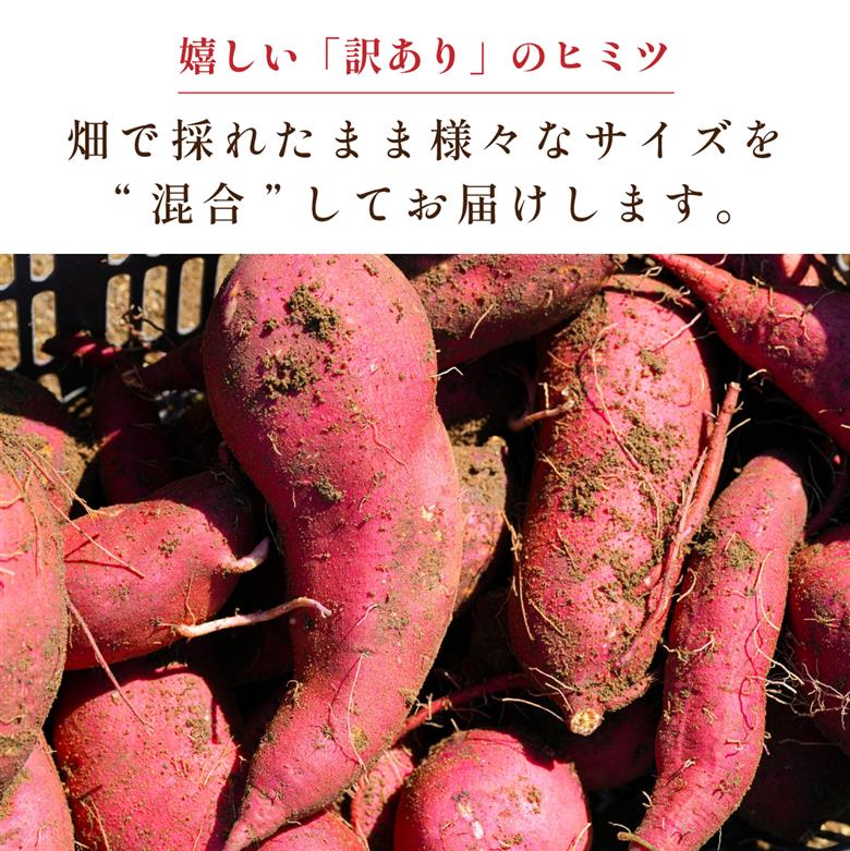 【訳あり】杉尾農園 丹波篠山産 さつまいも 紅はるか 5kg 形は不揃いでも味は一級品。たくさん使える「訳あり」で！