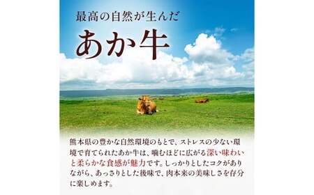 熊本県産 GI認証取得 くまもとあか牛 切り落とし 合計約800g（約400g×2P） あか牛 牛肉 お肉 肉 九州産 国産