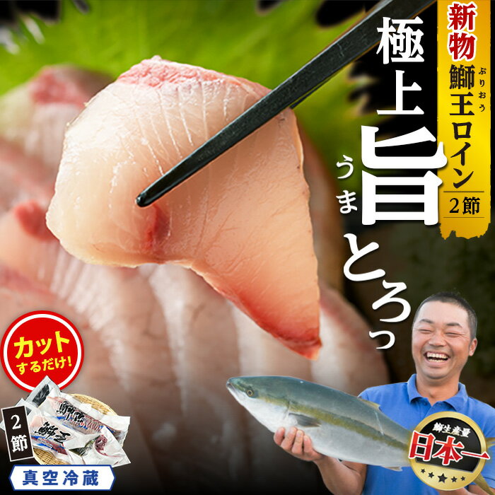 【ふるさと納税】【高評価 4.79】切って盛るだけ ロイン 2節 スキンレスポーション 新物 テレビで紹介ぶりの王様「 鰤王 」 半身 切り身 真空パック すぐに食べれる 産地直送 長島町 鰤 冷蔵 ふるさと納税 ぶり 刺身 ぶりしゃぶ 【JFA】jfa-7132