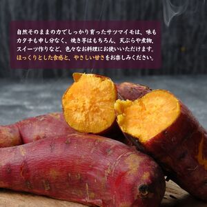 黄金のさつまいも 紅はるか 5kg サツマイモ 薩摩芋 芋 おやつ 野菜 いも 焼き芋 黄金村 ゴールデン・エンタープライズ株式会社 信州 長野県 富士見町