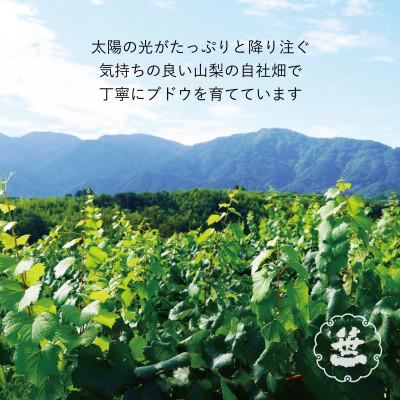 ふるさと納税 大月市 【蔵元直送】笹一酒造のOLIFANT(オリファン)ワイン<甲州・MBA>2本セット・山梨県大月市 |  | 03