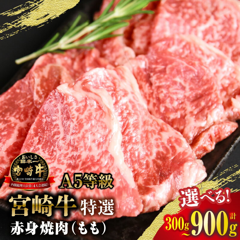 【ふるさと納税】【選べる内容量】【新鮮チルド】宮崎牛特選 赤身焼肉
