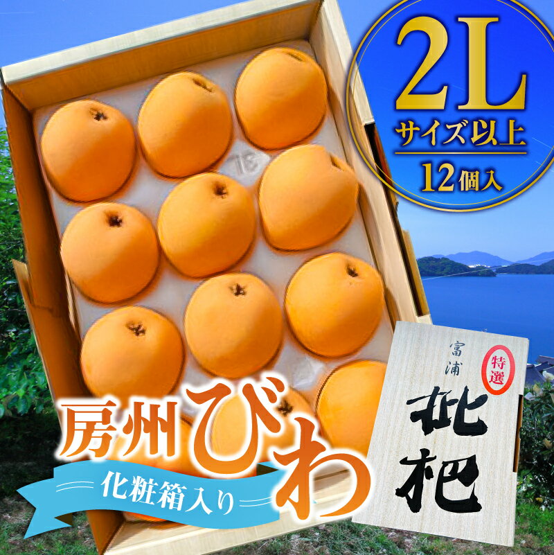 【ふるさと納税】【先行受付 2026年5月中旬～6月下旬発送予定】房州びわ 2Lサイズ以上 12個（化粧箱入）千葉県 南房総市 特産品 食べ応え フルーツ 果物 お取り寄せ グルメ 送料無料