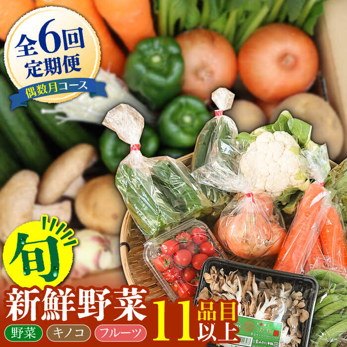 【ふるさと納税】【6回定期便 偶数月コース】野菜 キノコ 果物 11品目 詰め合わせ 当日仕入れ当日発送！ / 定期便 野菜 春野菜 夏野菜 秋野菜 冬野菜 旬 きのこ キノコ 産地直送 / 南島原市 / 吉岡青果 [SCZ006]