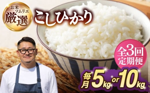 【選べる容量】【全3回定期便】 壱岐産米 こしひかり 5kg / 10kg 《壱岐市》【長米壱岐営業所】 [JCZ031][JCZ032]