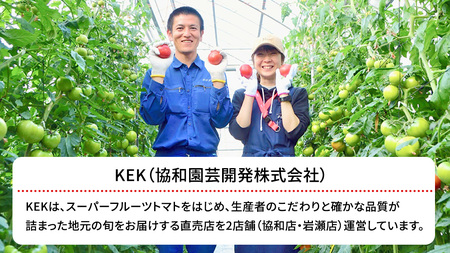 【母の日専用】 スーパーフルーツトマト てるて姫 中箱 約1.2kg ×1箱 糖度9度以上 《5月4日～10日お届け メッセージカード付》 [BC095sa]