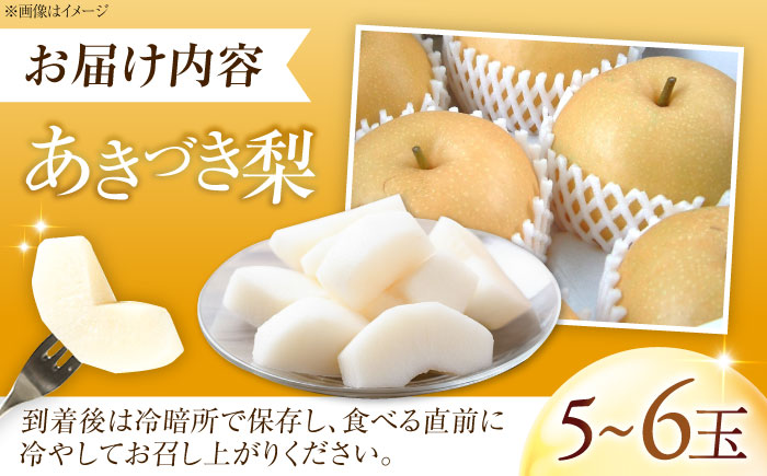 フルーツ松本のあきづき梨 5～6玉入り 〈2026年9月～発送〉 ／ フルーツ 果物 くだもの 食品 人気 おすすめ 送料無料 梨 なし あきづき梨 季節のフルーツ 【株式会社内子フレッシュパークから