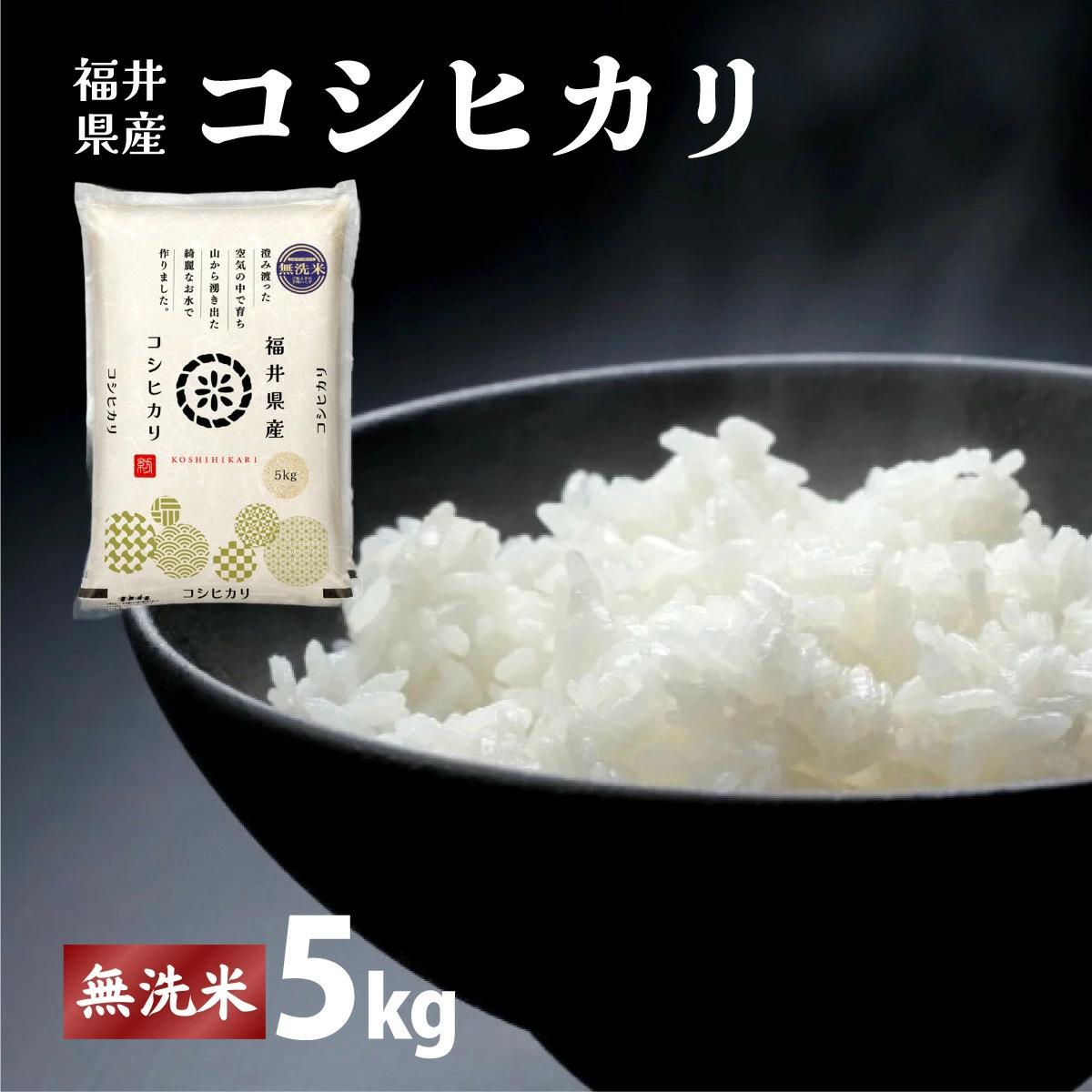【定期便3回】福井県産 コシヒカリ 無洗米 5kg（5kg×1）＜令和7年産 新米 / 数量限定 ＞【米 コメ お米 精米 白米 無洗米 玄米 ご飯 飯 こしひかり ブランド米 国産】[095-t3-a014]【敦賀市ふるさと納税】