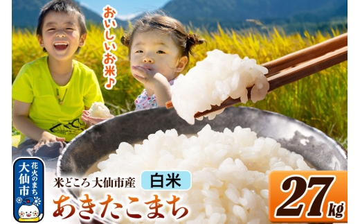 米 あきたこまち【白米】令和7年産 米どころ秋田県大仙市産 27kg（27kg×1袋）