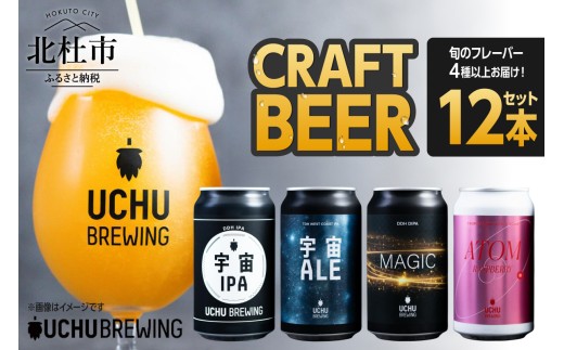 うちゅうブルーイング クラフトビール 12本セット 350ml 宇宙ビール うちゅうビール 飲み比べ 八ヶ岳 せんのや