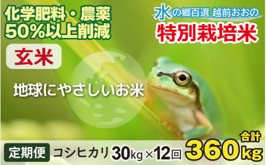 【令和7年産】【12ヶ月定期便】こしひかり 30kg × 12回 計 360kg【玄米】減農薬・減化学肥料 「特別栽培米」－地球にやさしいお米－