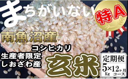 
                  【令和8年産　新米予約】【定期便】玄米 生産者限定 南魚沼しおざわ産コシヒカリ5Kg×12ヶ月【定期便 銘柄米 ブランド米 玄米 こしひかり コシヒカリ 魚沼産 新潟米 産地直送 お米 米 】【2026年10月上旬より1ヶ月以内に順次発送予定】
                
