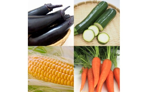 農家直送新鮮野菜と柚子こしょう詰め合わせセット＜1-48＞★