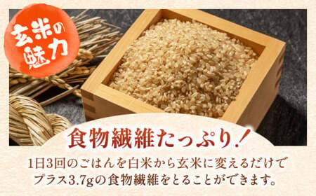 佐賀県産米 さがびより玄米 3kg 米 お米 玄米 ブランド米 国産米[FCW002]