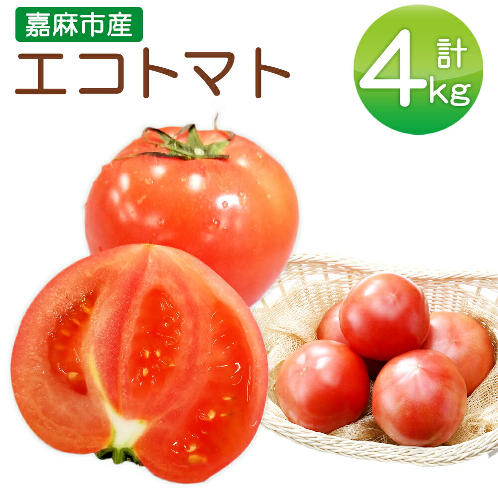 【ふるさと納税】JAふくおか嘉穂 嘉穂のこくうま エコトマト 4kg 20玉～24玉 【2026年1月下旬-6月上旬迄順次発送予定】 トマト とまと 野菜 サラダ 新鮮 コク エコ eco 福岡エコ農産物 国産 九州 福岡 送料無料