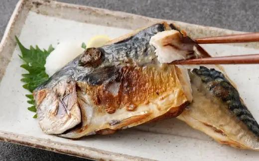 とんでもない鯖 半身 6枚入り さば 鯖 サバ 干物 ひもの 干し 魚 魚介 おつまみ 肴 ご飯のお供 おかず