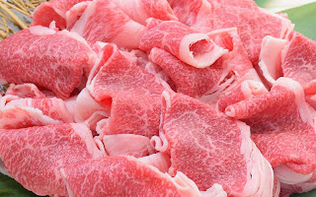 佐賀牛 切り落とし 500g 149-J1978