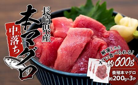 長崎県産　本マグロ中落ち（約600ｇ）【マグロ 鮪 まぐろ 中落 小分け 刺身 魚 魚介類 海鮮丼 手巻き寿司 海鮮 人気 おすすめ 長崎】