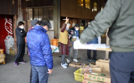 土佐文旦 10kg 家庭用小玉 文旦