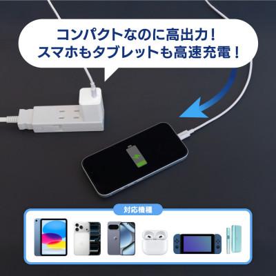ふるさと納税 海老名市 USB Type-Cケーブル付属 最大PD30W USB Type-C×1 AC充電器 ホワイト |  | 01