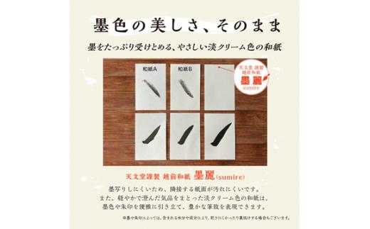 No.021 蔵前天文堂　御朱印帳「星」（ほし） ／ 御朱印 朱印帳 和紙 じゃばら合掌製本 伝統 蔵前天文堂謹製和紙 熟練の技 職人  シック シンプル スタイリッシュ 埼玉県